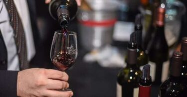 Feria vinos orgánicos y sustentables