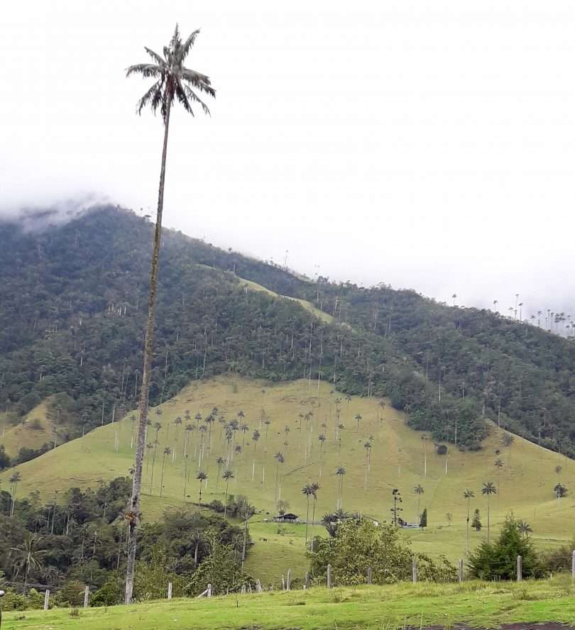 Colombia