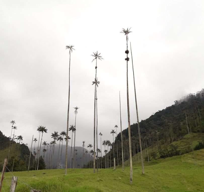 Colombia