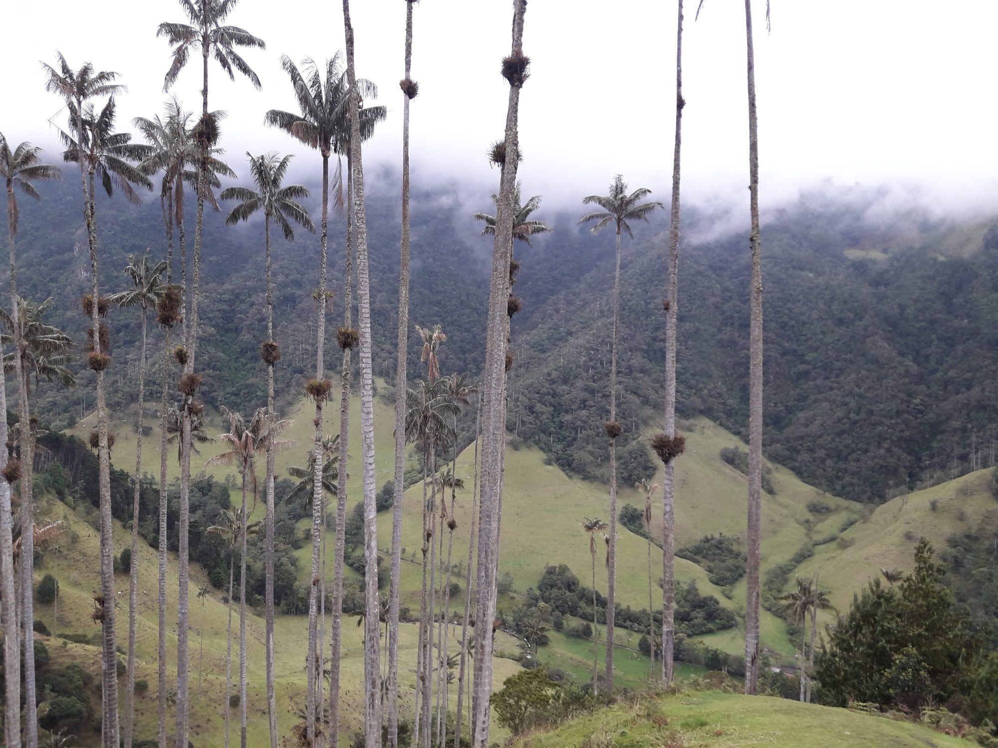 Colombia