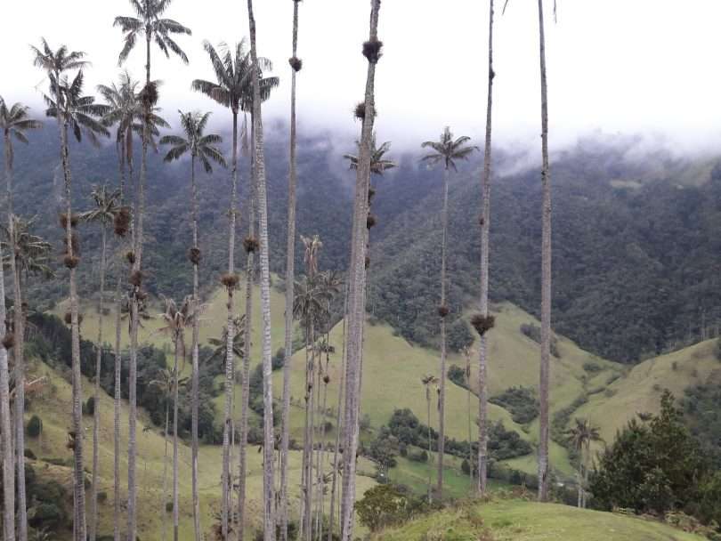 Colombia