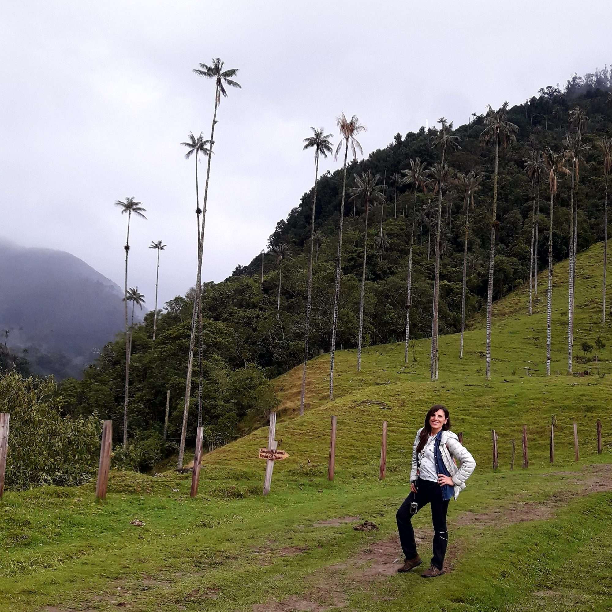 Colombia valle de Cocora