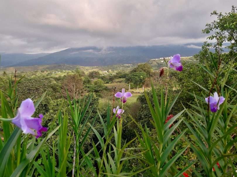 Colombia