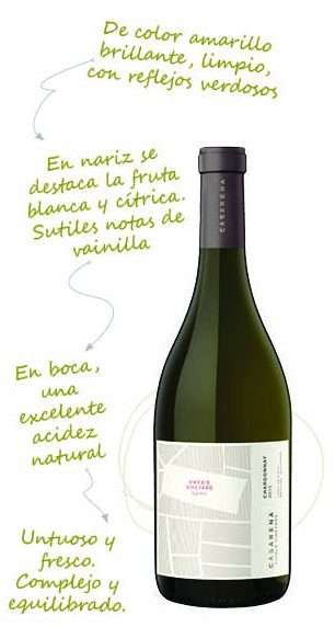 nota de cata casarena chardonay