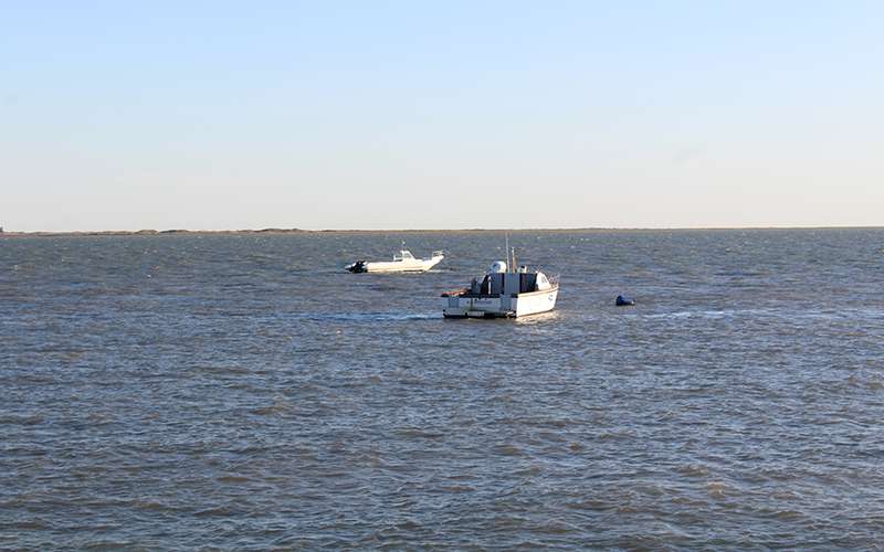 Barcos pesqueros