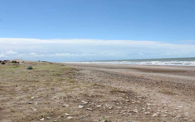 Playa Pehuen co Monte Hermoso 4