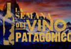 vinos de la patagonia