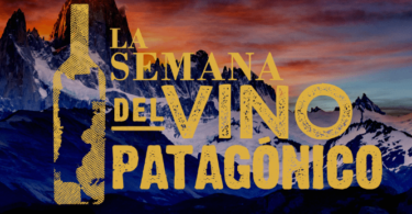 vinos de la patagonia