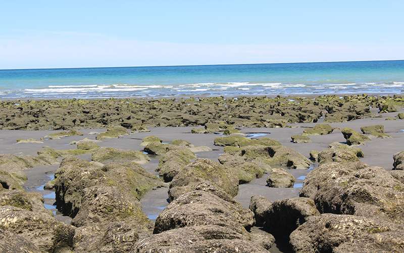 Arrecife baja mar 1