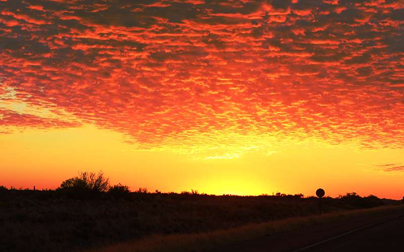 Atardecer en Punta Tombo