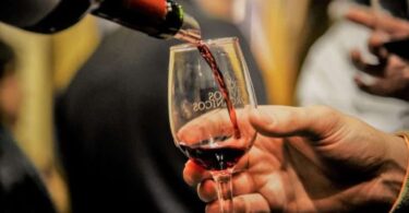 Feria de vinos organicos y sustentables