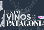 vinos de la Patagonia virtual