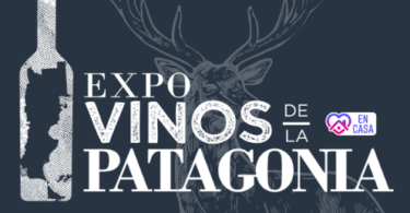 vinos de la Patagonia virtual