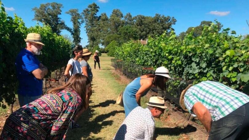 Finca Don Atilio. Bodega ba