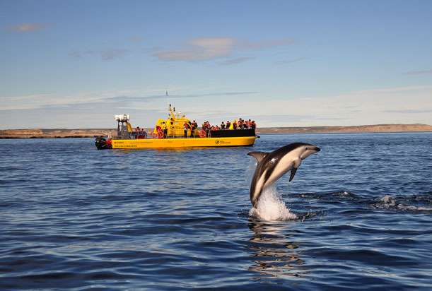 madryn semana santa