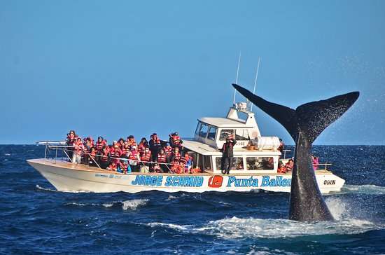 madryn semana santa