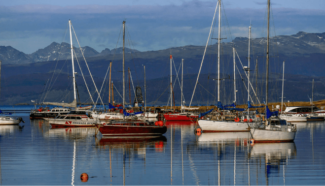 Las hayas Ushuaia