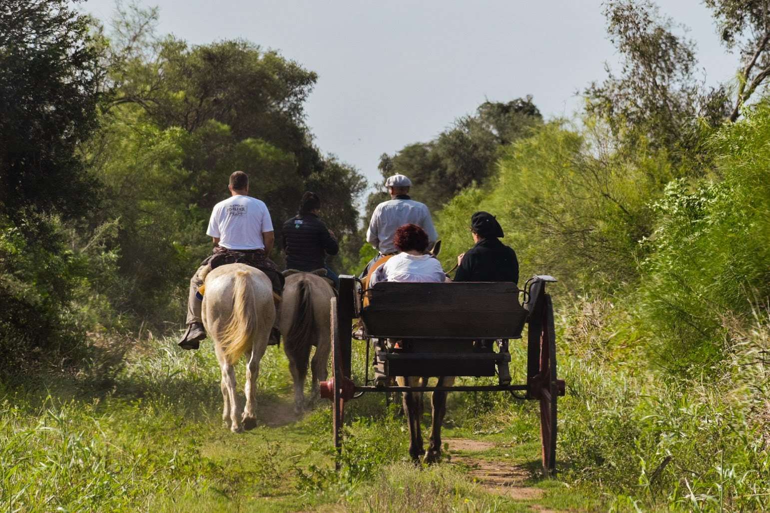 Parque Nacional Ansenuza Paseos en Sulqui y cabalgata al bajo