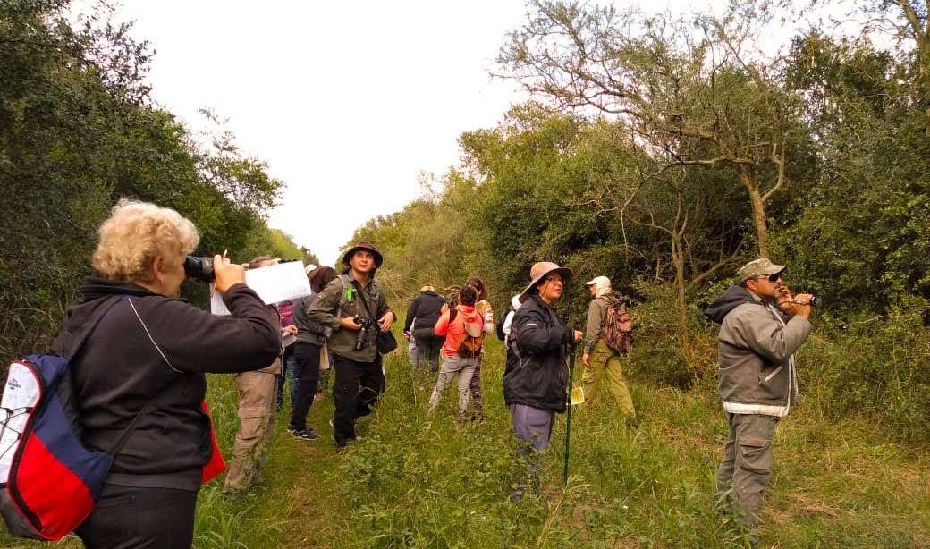 observación de Aves Parque Nacional Ansenuza