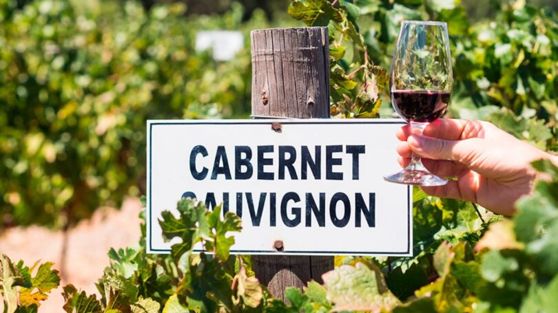 cabernet sauvignon