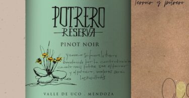 reserva PInot vinos de potrero destacada