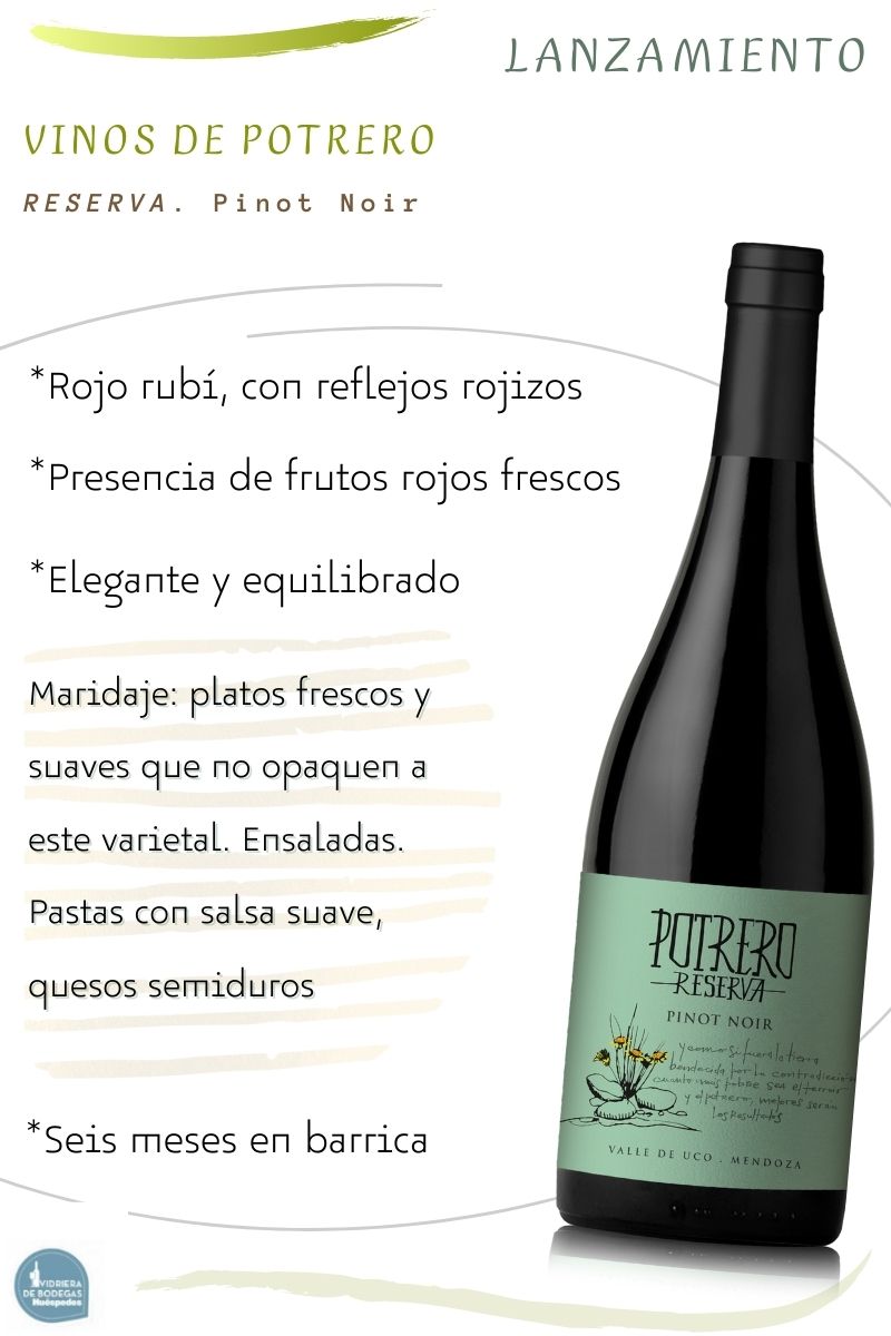 reserva PInot vinos de potrero