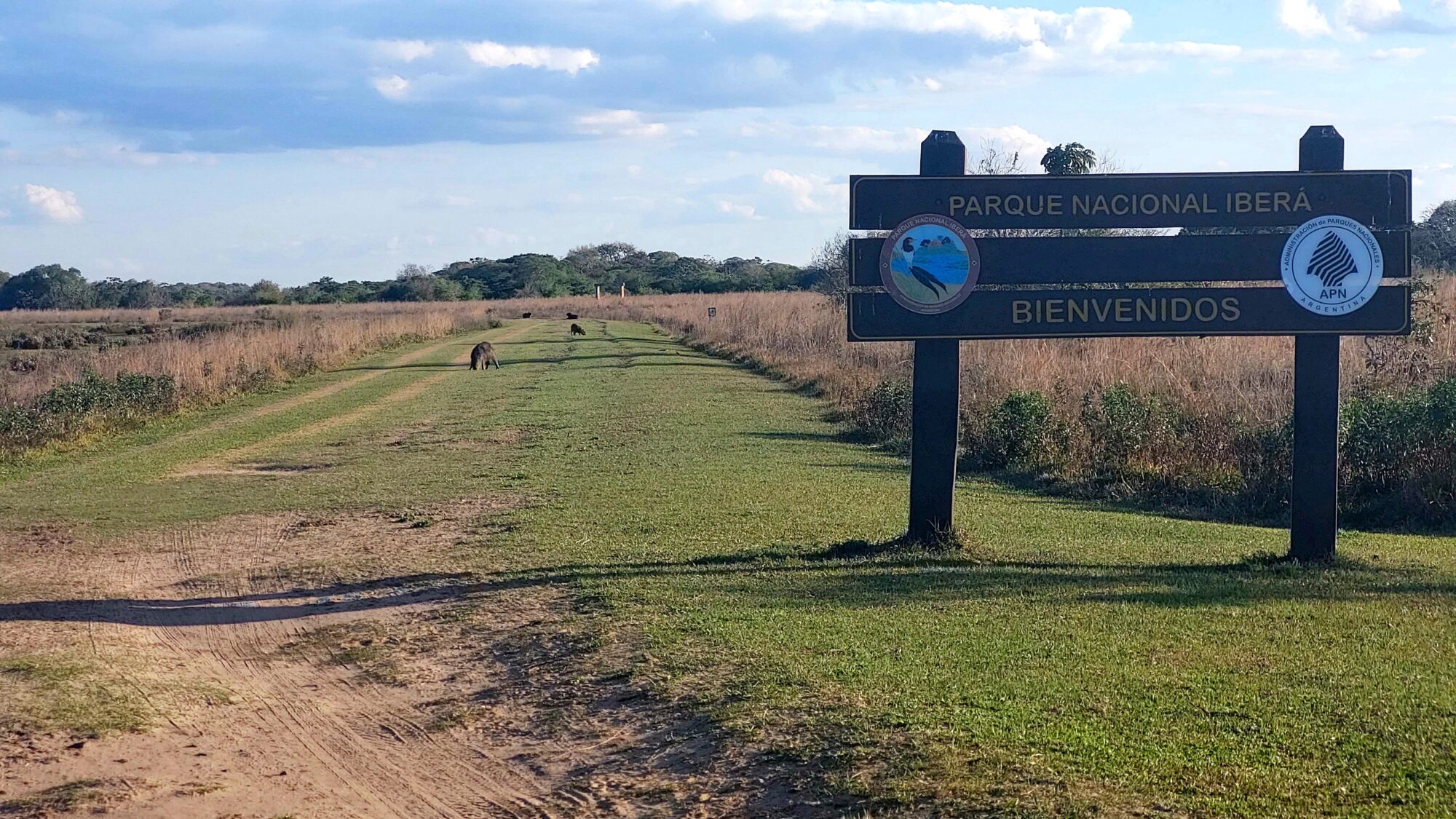 Parque Nacional Iberá requisitos vacaciones argentina