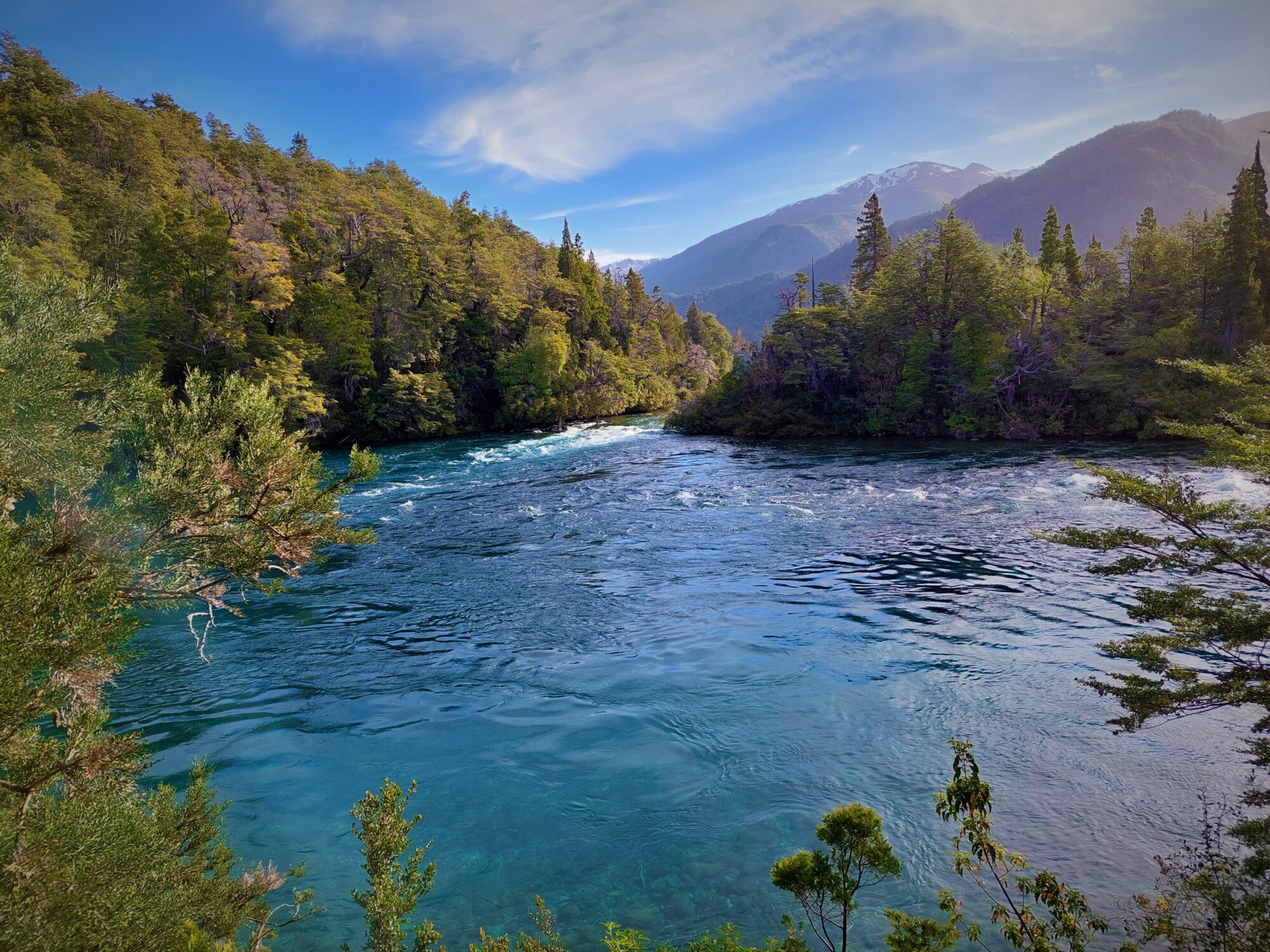 Parque Nacional Los Alerces requisitos vacaciones argentina