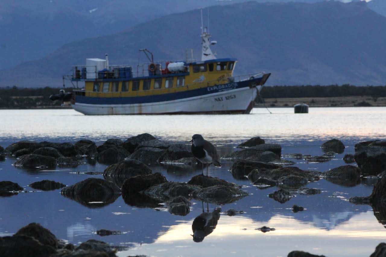 Puerto Natales 4