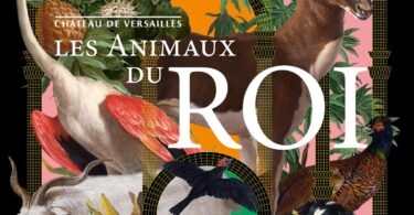 affiche animaux 40 60 061021 hd a