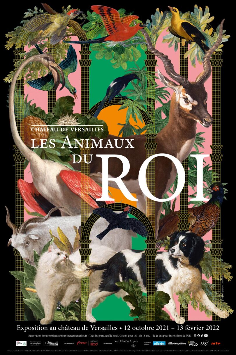 affiche animaux 40 60 061021 hd a