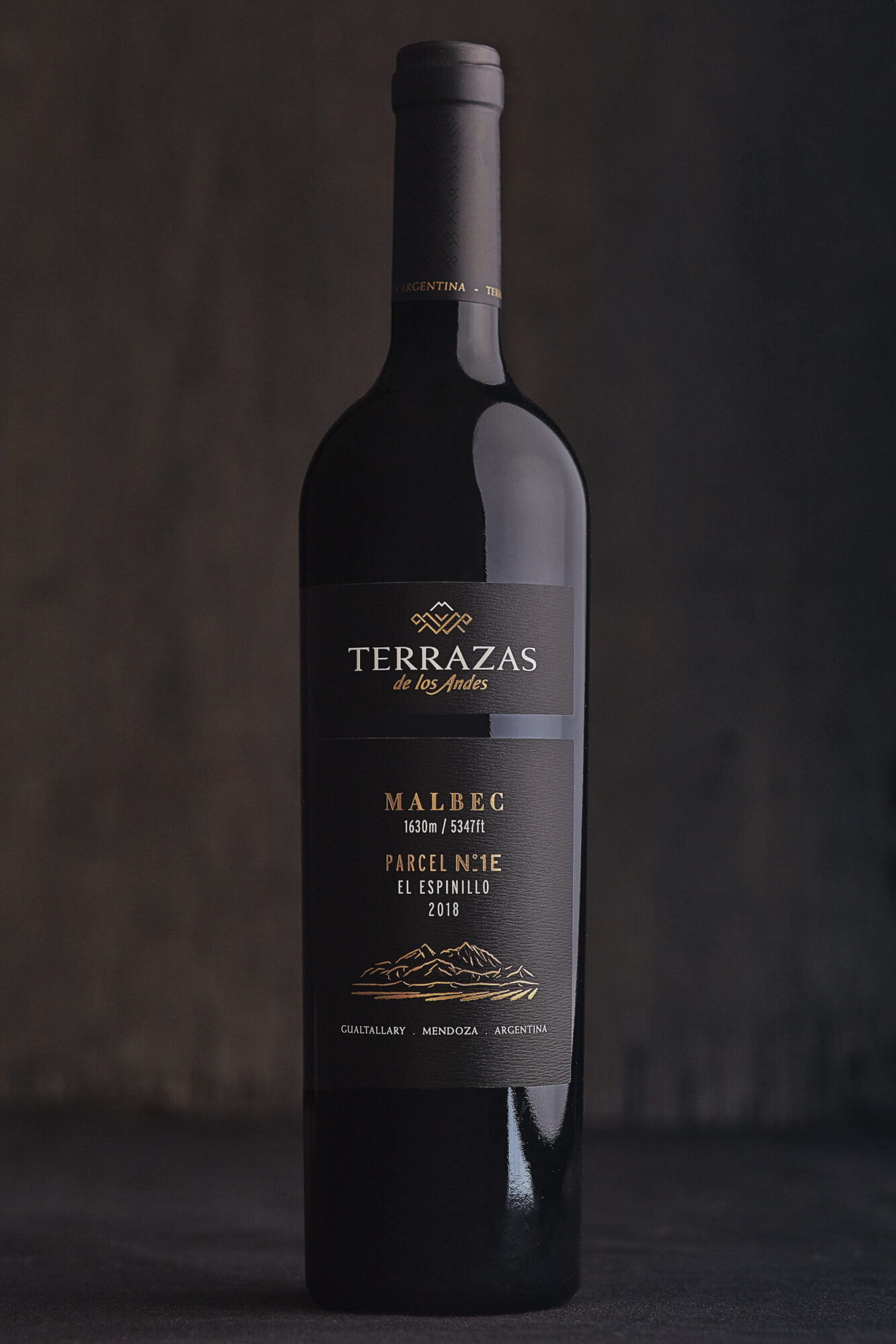 Terrazas de los Andes Parcel N°1 E El Espinillo Malbec 2018 1