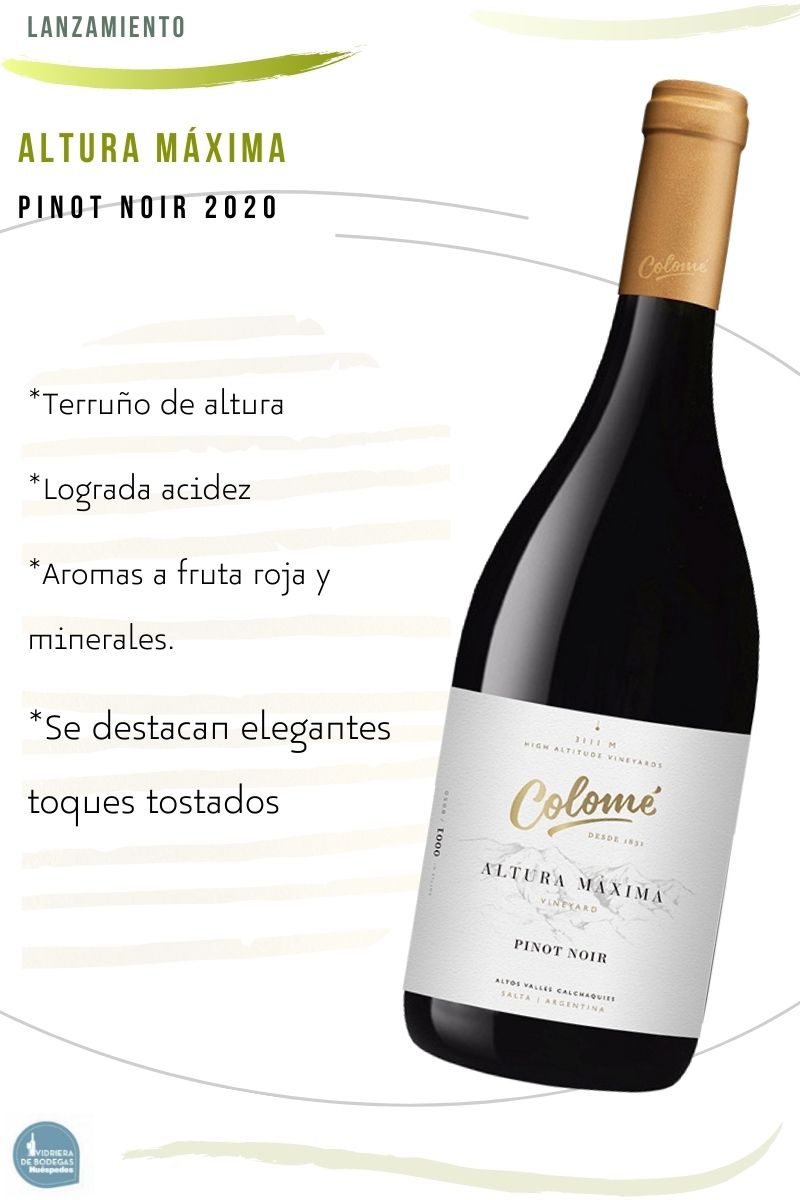 pinot noir altura maxima