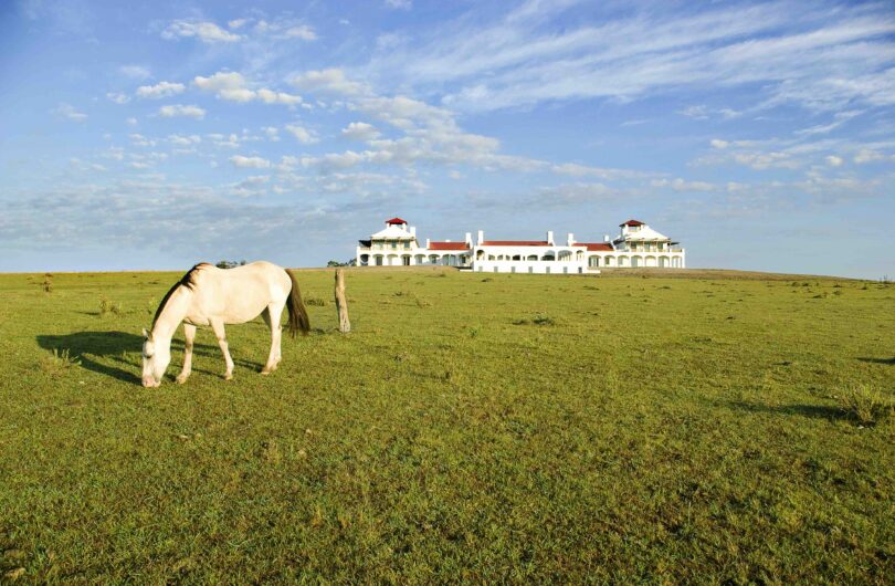 Horse and Estancia