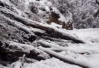 sendero nevado parque nacional nahuel huapi bariloche 2