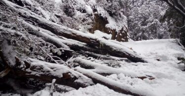 sendero nevado parque nacional nahuel huapi bariloche 2