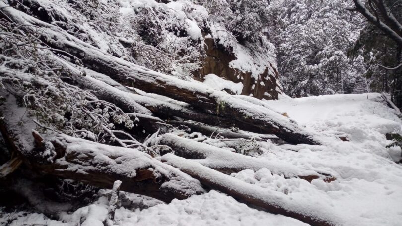 sendero nevado parque nacional nahuel huapi bariloche 2