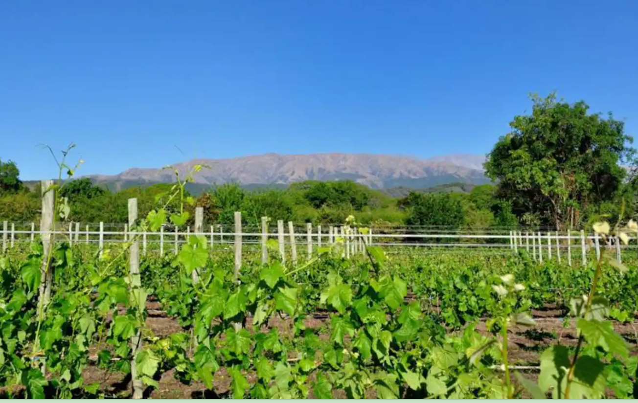 kilometro cero Salta Finca