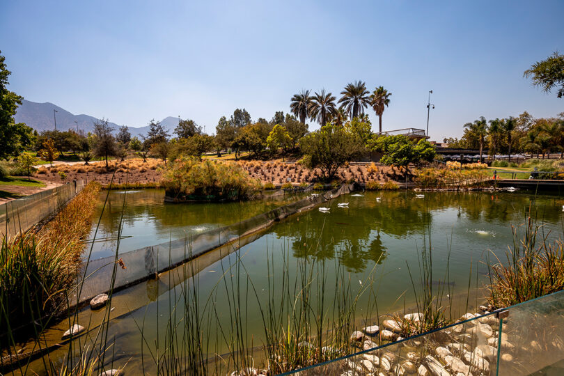 parque bicentenario 2022 02 1